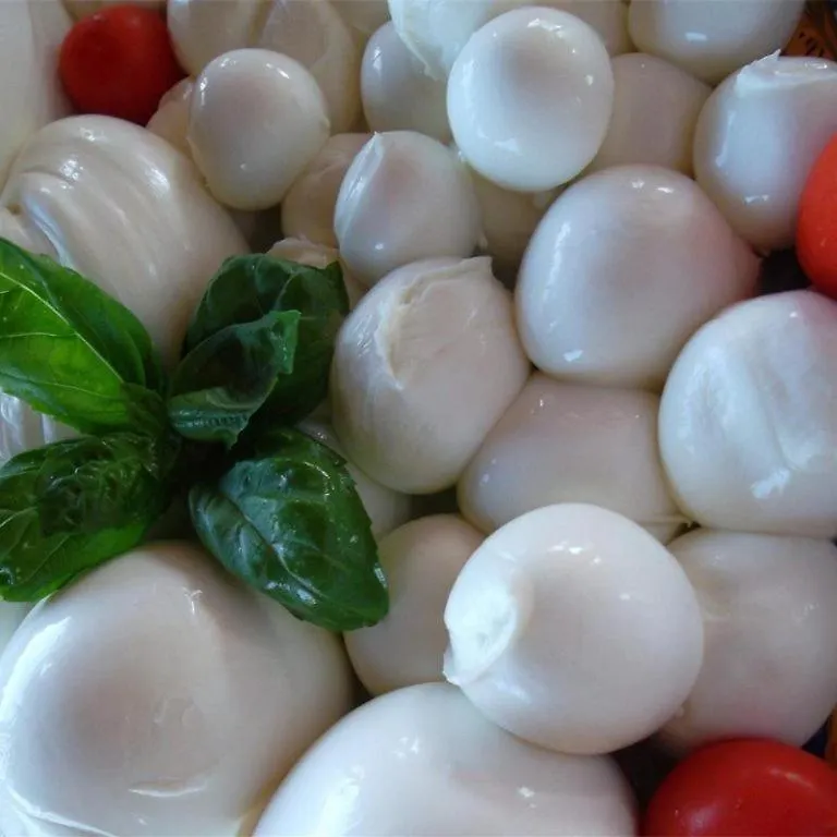 Bed & Breakfast Hotel Half Moon Airport Restaurant Rimini